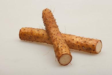 传黑曜石开发神秘谋杀RPG 没有战斗2022年发售